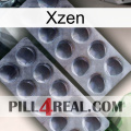 Xzen 31